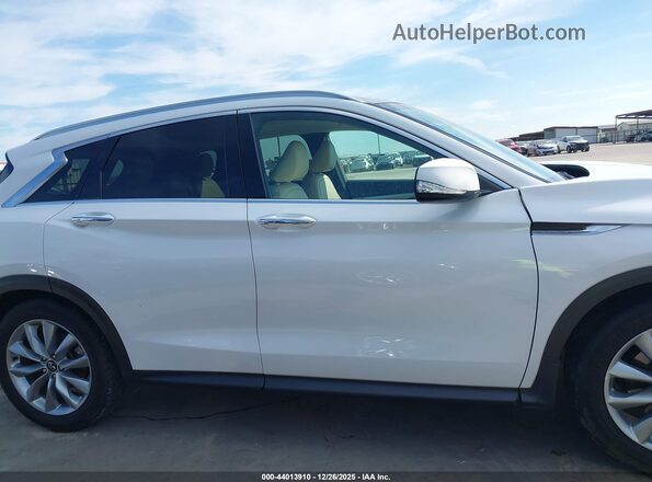 3PCAJ5BAXMF105429 2021 INFINITI QX50 Белый Вид задней части салона