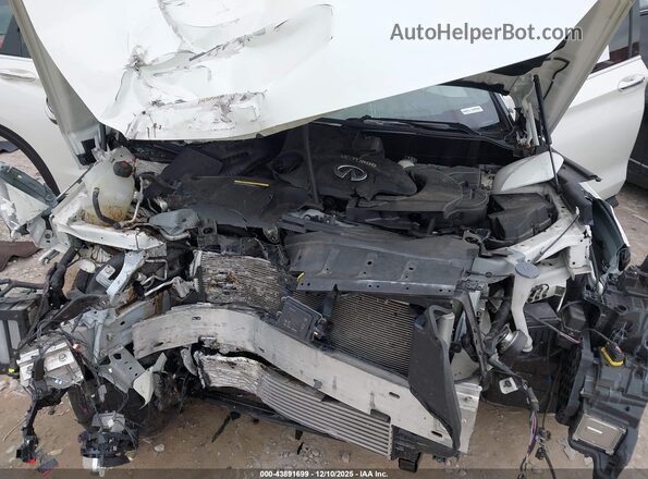 3PCAJ5DB6MF112903 2021 INFINITI QX50 White Вид ззаду