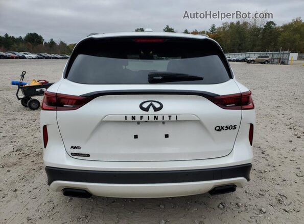 3PCAJ5FB3PF116117 2023 INFINITI QX50 Белый Вид сзади