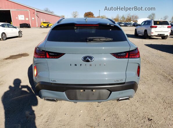 3PCAJ5K36NF115295 2022 INFINITI QX55 Серый Вид сзади