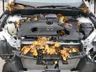 2024 Infiniti Qx55 Essential Белый vin: 3PCAJ5KR6RF101729