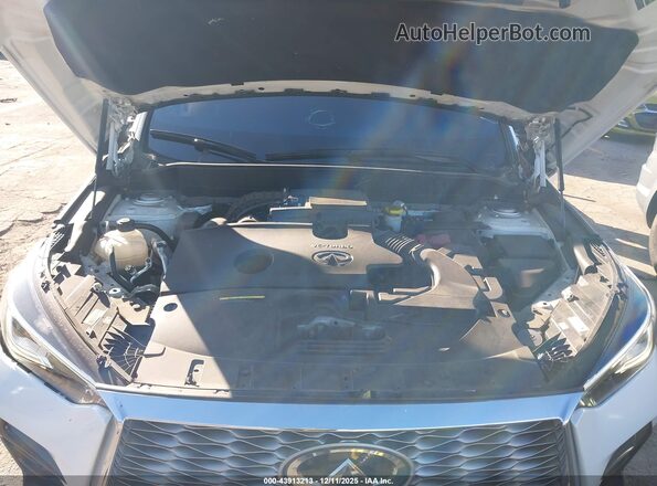 3PCAJ5LR7PF112475 2023 INFINITI QX55 Белый Вид сзади