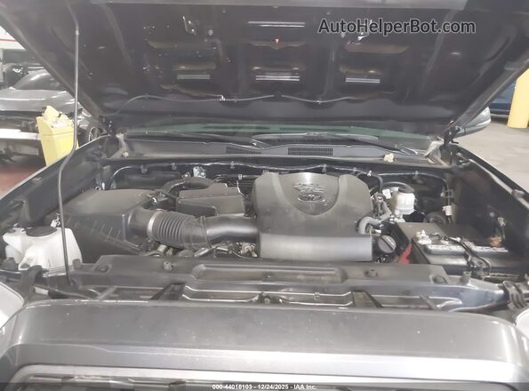 3TMBZ5DN3MM029657 2021 TOYOTA TACOMA Gray Widok z tyłu