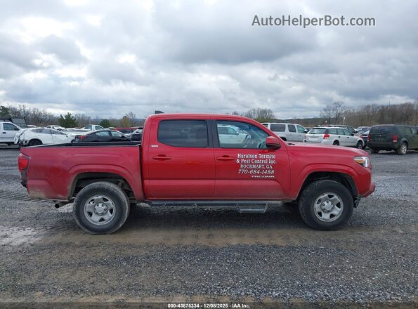 3TYAX5GN7NT058632 2022 TOYOTA TACOMA Red Սալոնի հետևի տեսք