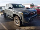 2024 Toyota Tacoma Trd Sport Gray vin: 3TYLB5JN5RT037557