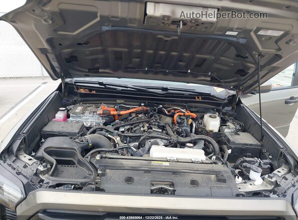 3TYLC5LN1ST024661 2025 TOYOTA TACOMA HYBRID Green Вид ззаду
