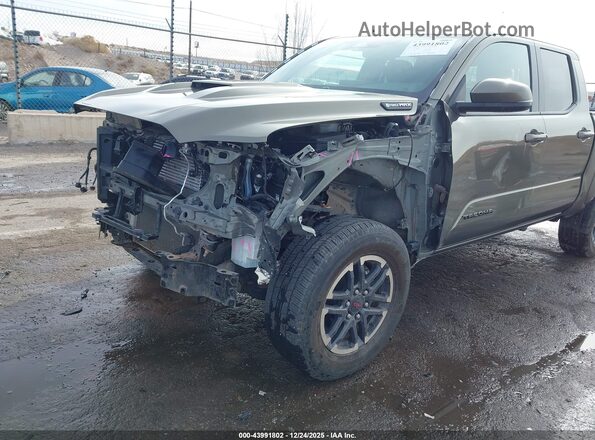 3TYLC5LN5RT009204 2024 TOYOTA TACOMA HYBRID Зеленый Вид спереди