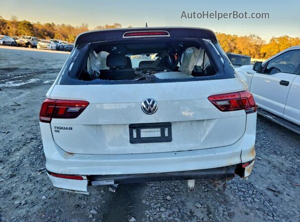 3VV3B7AX7MM118823 2021 VOLKSWAGEN TIGUAN Белый Вид сзади