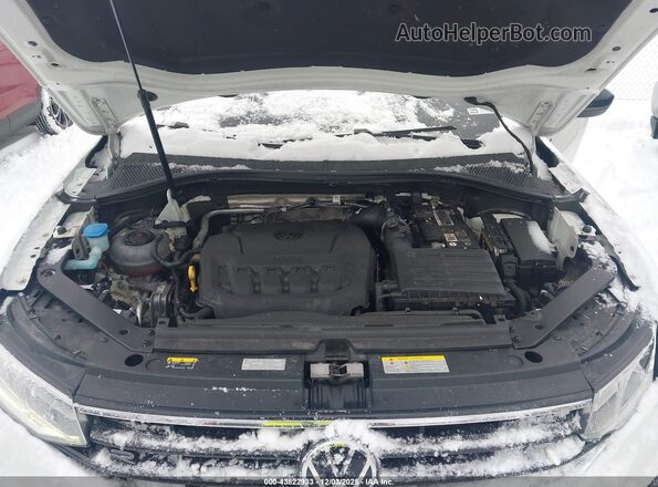 3VVCB7AX3NM059027 2022 VOLKSWAGEN TIGUAN Белый Вид сзади