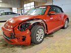 2019 Volkswagen Beetle S Orange vin: 3VW5DAAT9KM505721