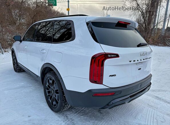 5XYP5DHC0NG243928 2022 KIA TELLURIDE Белый Задняя правая четверть