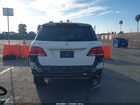 2019 Mercedes-benz Gle 400 4matic Белый vin: 4JGDA5GB1KB213903