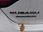 2023 Subaru Legacy Premium vin: 4S3BWAC61P3013782
