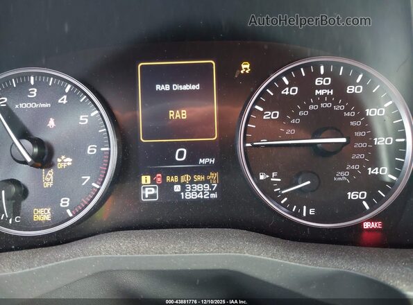 4S4WMAUD3R3415676 2024 SUBARU ASCENT Белый 