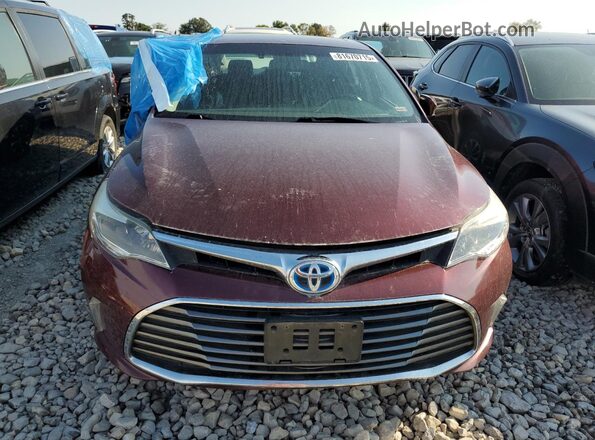 4T1BD1EB7GU051992 2016 TOYOTA AVALON Темно-бордовый Вид спереди