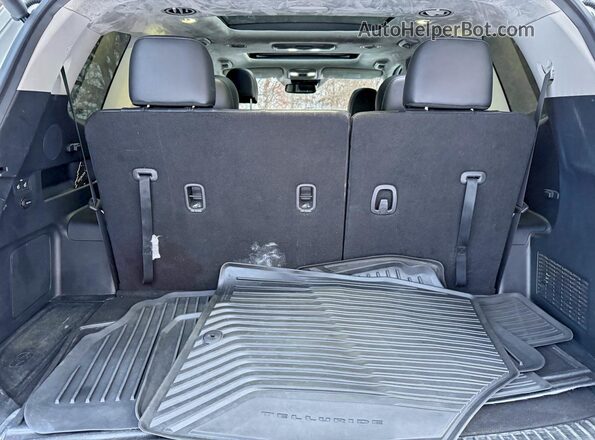 5XYP5DHC0NG243928 2022 KIA TELLURIDE Белый Панорамный вид салона 360°