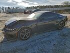 2024 Ford Mustang Серый vin: 1FA6P8TH8R5126957