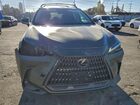 2024 Lexus Nx 250 Base Green vin: 2T2ADCAZ1RC012020