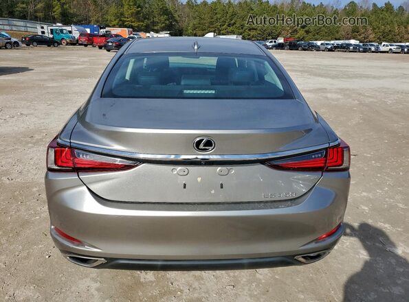 58ACZ1B19LU069169 2020 LEXUS ES Gray Widok z tyłu