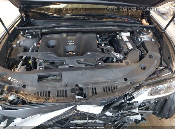 58AD11D10MU003989 2021 LEXUS ES 250 Серый Вид сзади