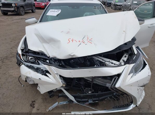58AD21B12LU012191 2020 LEXUS ES 300H Белый Вид сзади