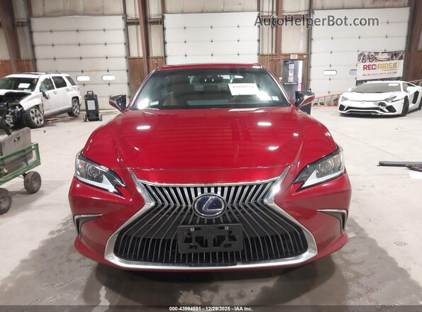 58ADA1C17MU011573 2021 LEXUS ES 300H Красный Вид задней части салона