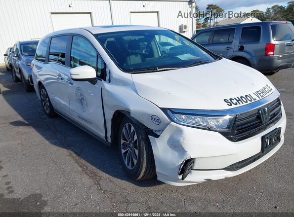 5FNRL6H60RB070333 2024 HONDA ODYSSEY Белый Передняя правая четверть