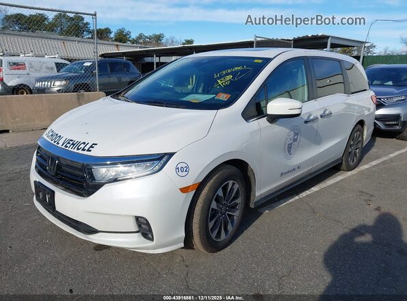5FNRL6H60RB070333 2024 HONDA ODYSSEY Белый Передняя левая четверть