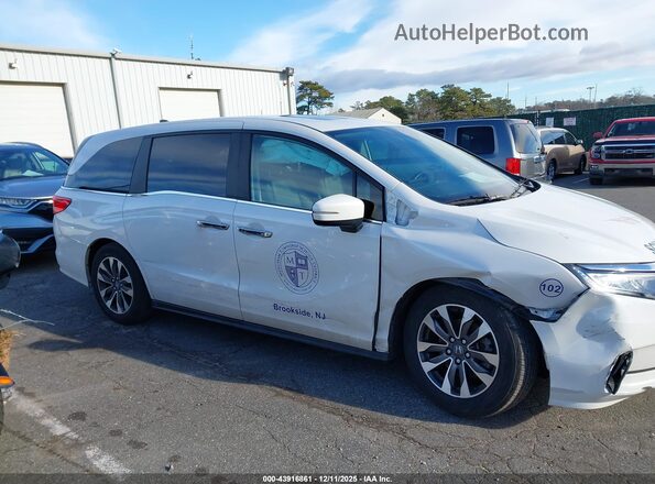 5FNRL6H60RB070333 2024 HONDA ODYSSEY Белый Вид задней части салона
