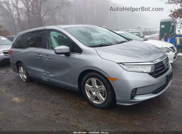 5FNRL6H64RB011916 2024 HONDA ODYSSEY Серебряный Вид задней части салона