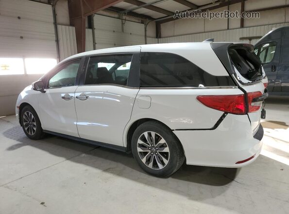 5FNRL6H71MB039822 2021 HONDA ODYSSEY White უკანა მარცხენა