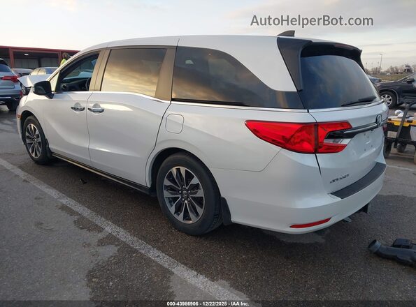5FNRL6H72NB015269 2022 HONDA ODYSSEY Белый Задняя левая четверть