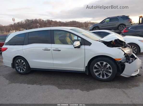 5FNRL6H72NB015269 2022 HONDA ODYSSEY Белый Вид задней части салона