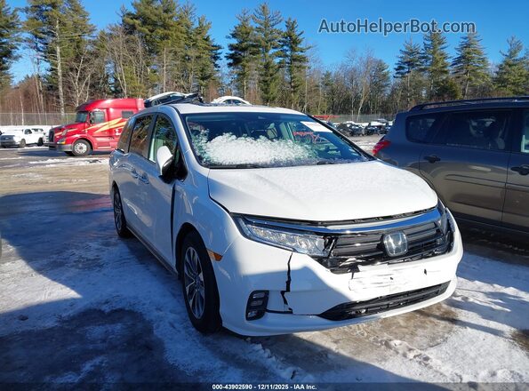 5FNRL6H72NB021539 2022 HONDA ODYSSEY White Przód prawy