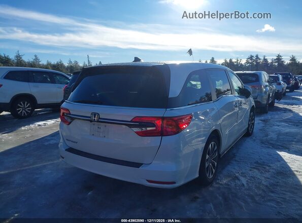 5FNRL6H72NB021539 2022 HONDA ODYSSEY White Tył prawy
