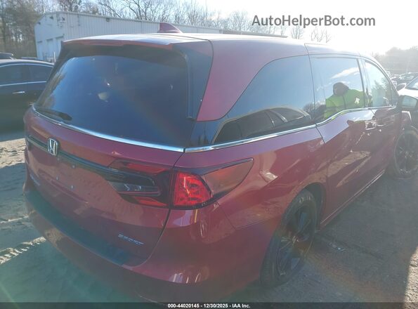 5FNRL6H75RB017913 2024 HONDA ODYSSEY Красный Задняя правая четверть