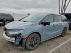2024 Honda Odyssey Sport Blue vin: 5FNRL6H76RB026927