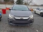 2019 Honda Odyssey Exl Gray vin: 5FNRL6H77KB138061