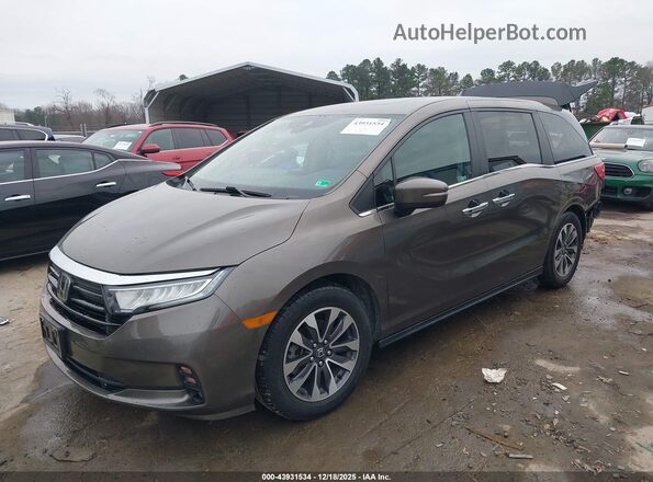 5FNRL6H78NB035493 2022 HONDA ODYSSEY Серый Передняя левая четверть