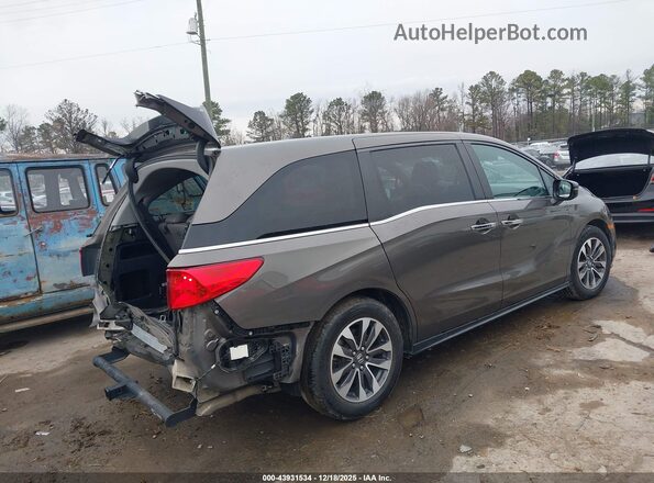 5FNRL6H78NB035493 2022 HONDA ODYSSEY Серый Задняя правая четверть