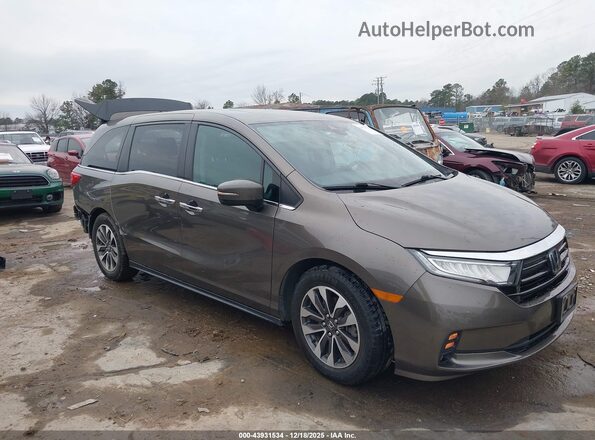 5FNRL6H78NB035493 2022 HONDA ODYSSEY Серый Передняя правая четверть