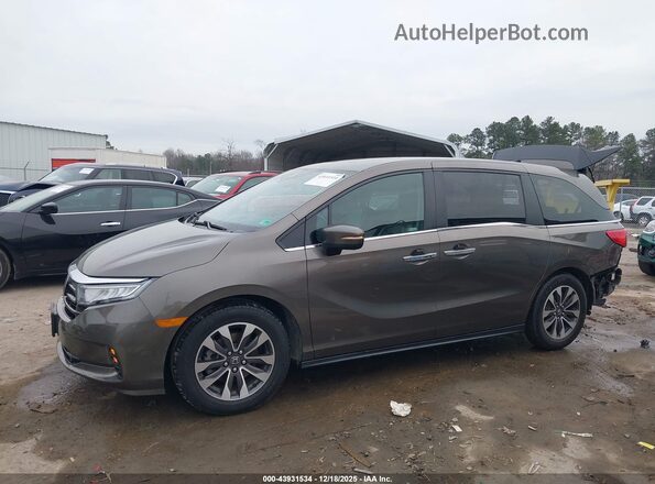 5FNRL6H78NB035493 2022 HONDA ODYSSEY Серый Панорамный вид салона 360°