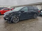 2024 Honda Odyssey Elite Black vin: 5FNRL6H90RB033230