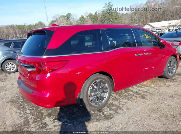 5FNRL6H98PB015474 2023 HONDA ODYSSEY Red Rear right