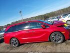 2023 Honda Odyssey Elite Red vin: 5FNRL6H98PB015474
