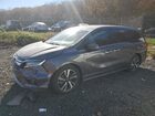 2020 Honda Odyssey Elite Gray vin: 5FNRL6H9XLB039737