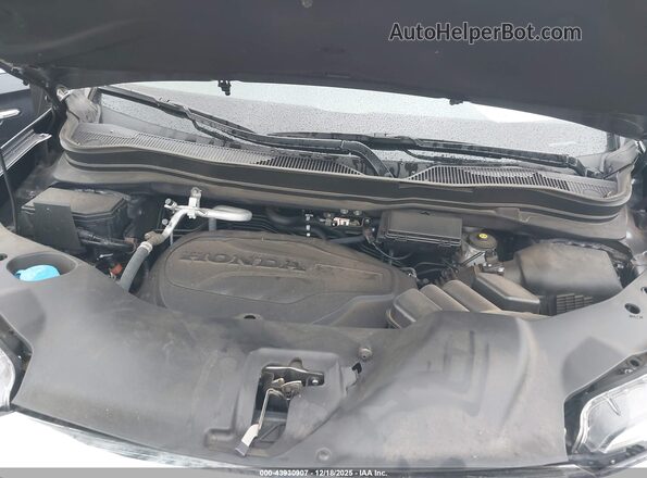5FNYF5H50NB036620 2022 HONDA PILOT Gray Widok z tyłu
