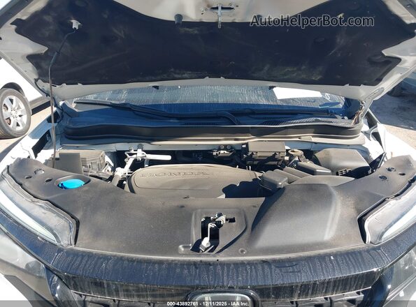 5FNYF7H21MB013475 2021 HONDA PASSPORT White Widok z tyłu