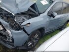 2023 Honda Passport Awd Ex-l Gray vin: 5FNYF8H50PB019286