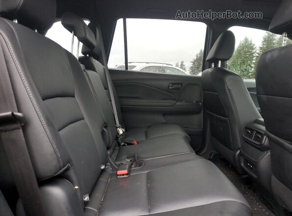 5FNYF8H59RB003820 2024 HONDA PASSPORT Черный Вид задней части салона